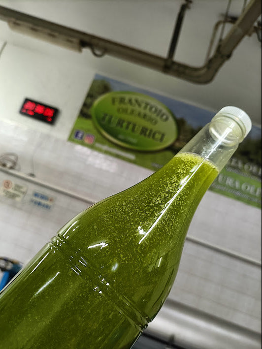NOCELLARA DEL BELICE: Extra Virgin Olive Oil: Robusto (250mL)