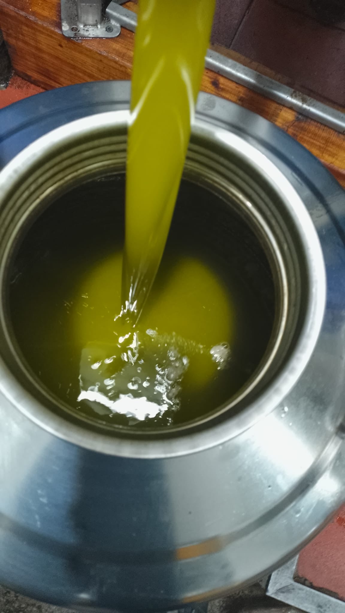 Nocellara: New Harvest 2025-2026