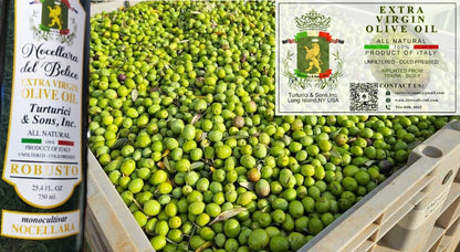 NOCELLARA DEL BELICE: Extra Virgin Olive Oil: Robusto (250mL)