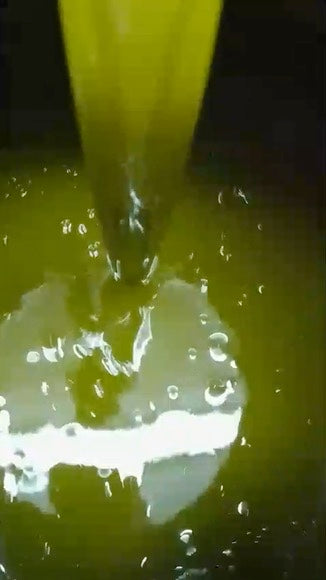 OGLIALORA Extra Virgin Olive Oil: Delicato (250ml)