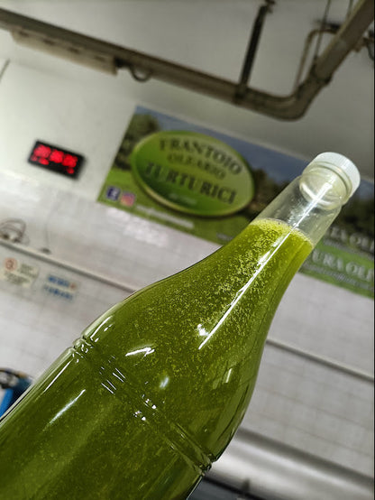 NOCELLARA DEL BELICE: Extra Virgin Olive Oil: Robusto (250mL)